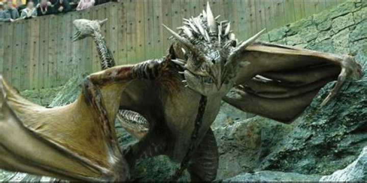 What dragon does Cedric fight?