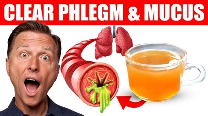 What foods cause phlegm?