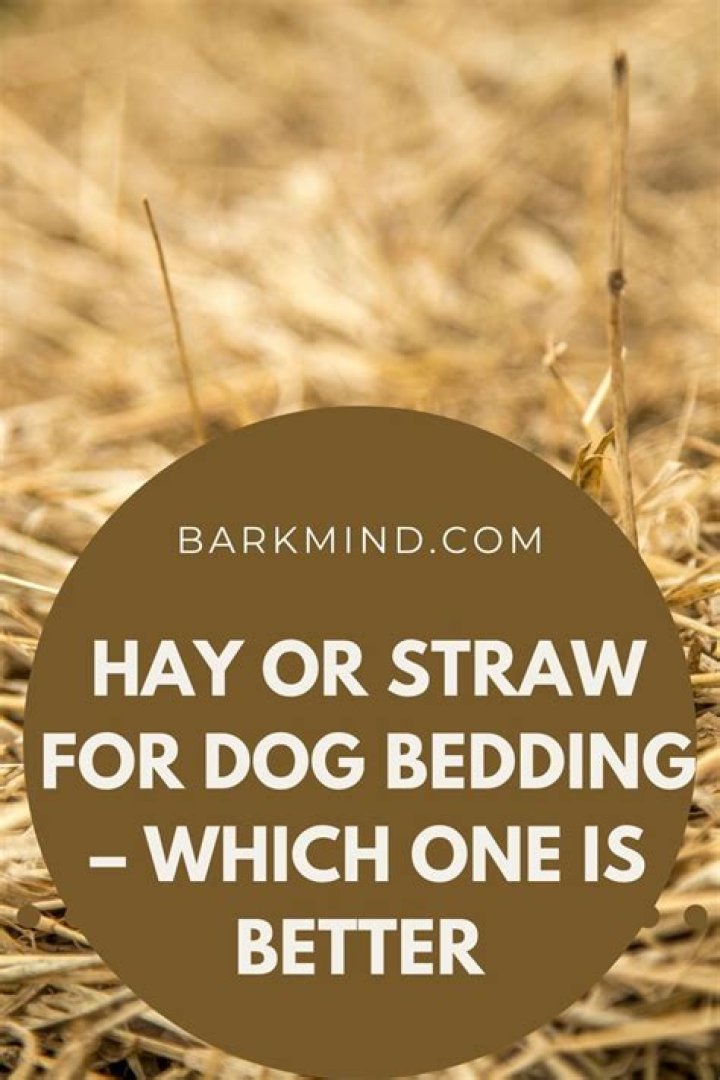 What is better for dogs hay or straw?