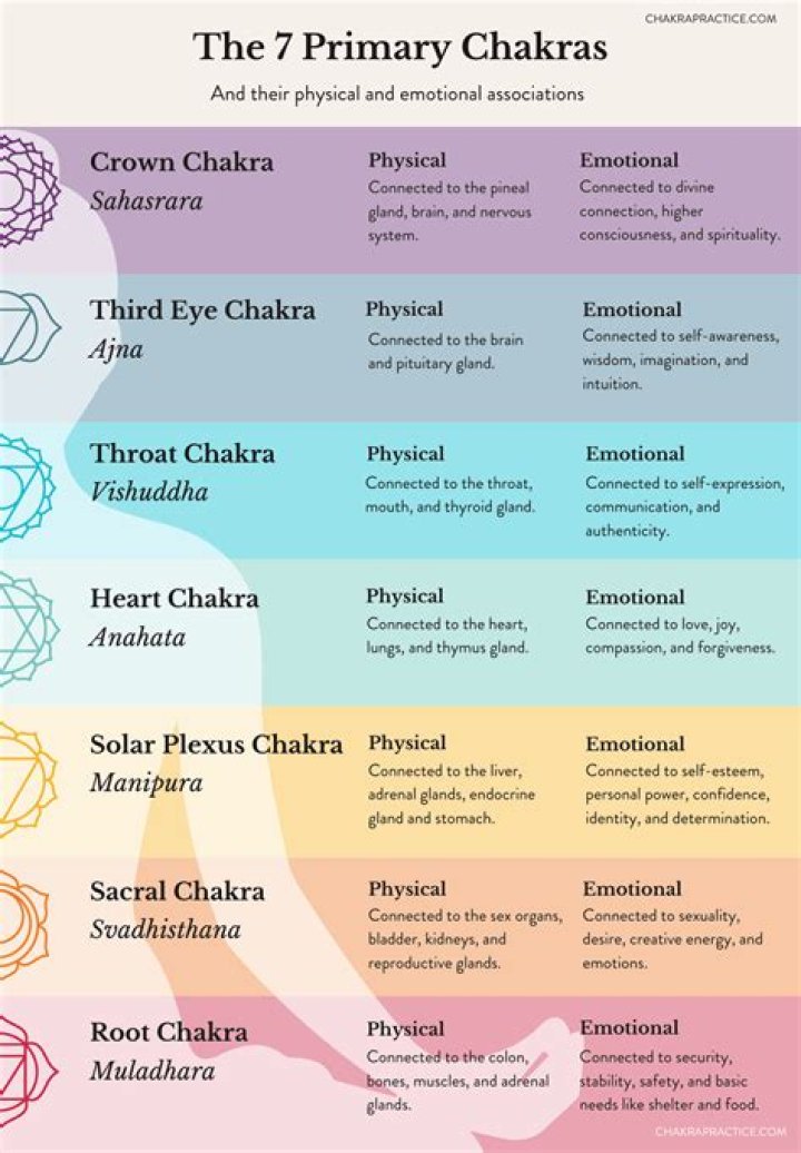What is the fifth chakra responsible for?