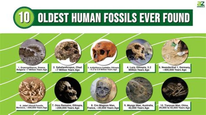 What is the oldest picture of a human?