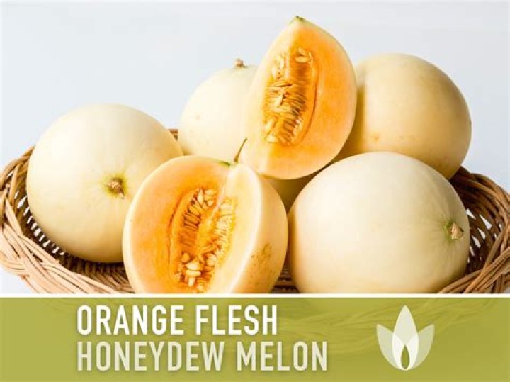 What is the orange honeydew?