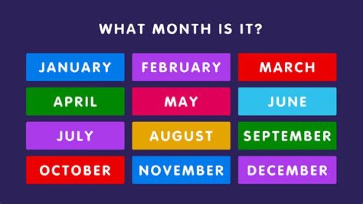 What month is ant season?