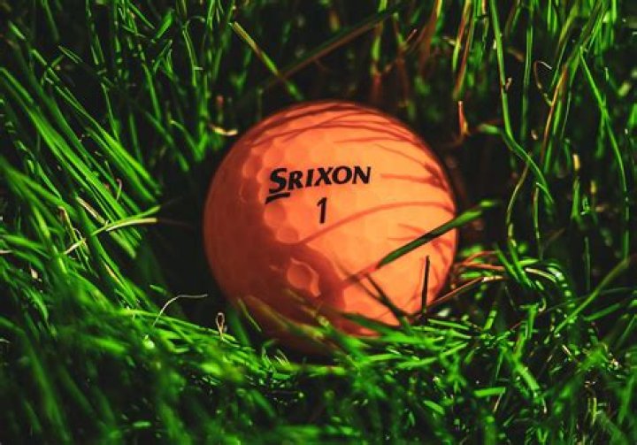 What Srixon ball is like Pro v1?