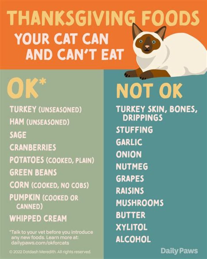 What to Eat When You don't have energy to cook?