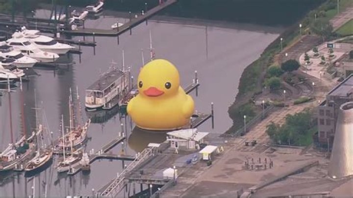 What was rubber duck hauling in convoy?