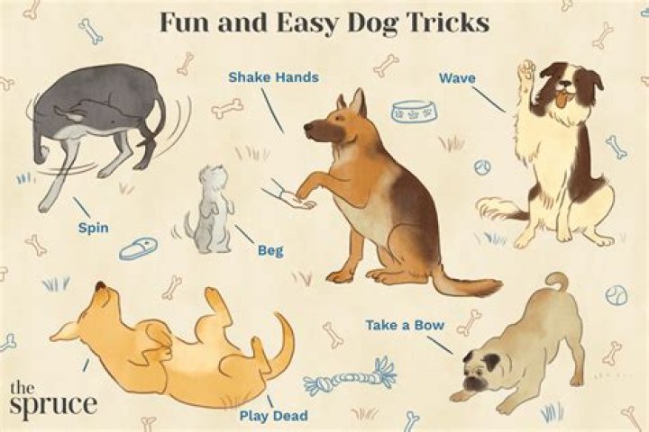 What will a dog do before it dies?