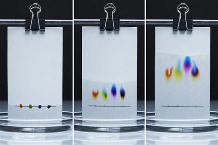 Why do bands spread in chromatography?