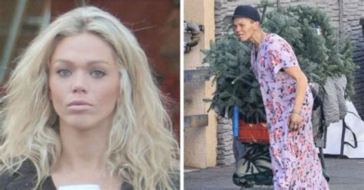 Willison: A Comprehensive Exploration of Its Impact and Influence