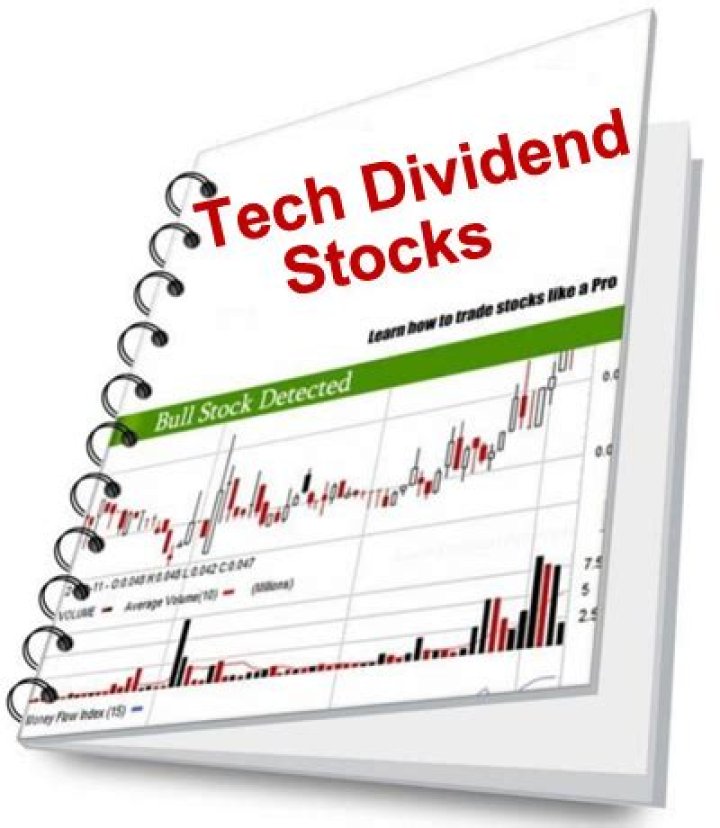 WM Brand's Comprehensive Stock Dividend History: A Detailed Guide