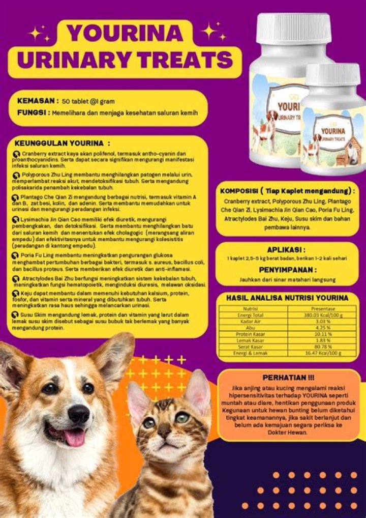 Yourina Videos: A Deep Dive into the World of Yourina